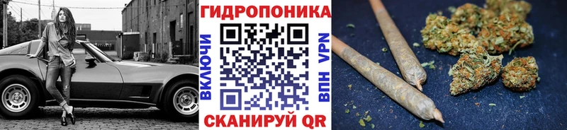 Бошки марихуана план Заозёрный